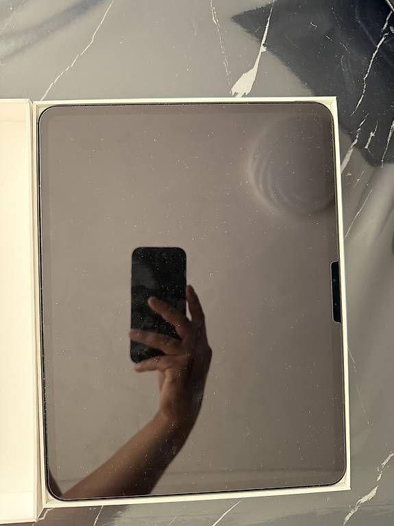 Apple Tablet PC: Ipad Pro 13 Wifi 256gb M5(NEU!) – Usato da Neuenegg venduto da elu_9gnv 2