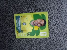 Panini Sticker BRA 18, WM 2026