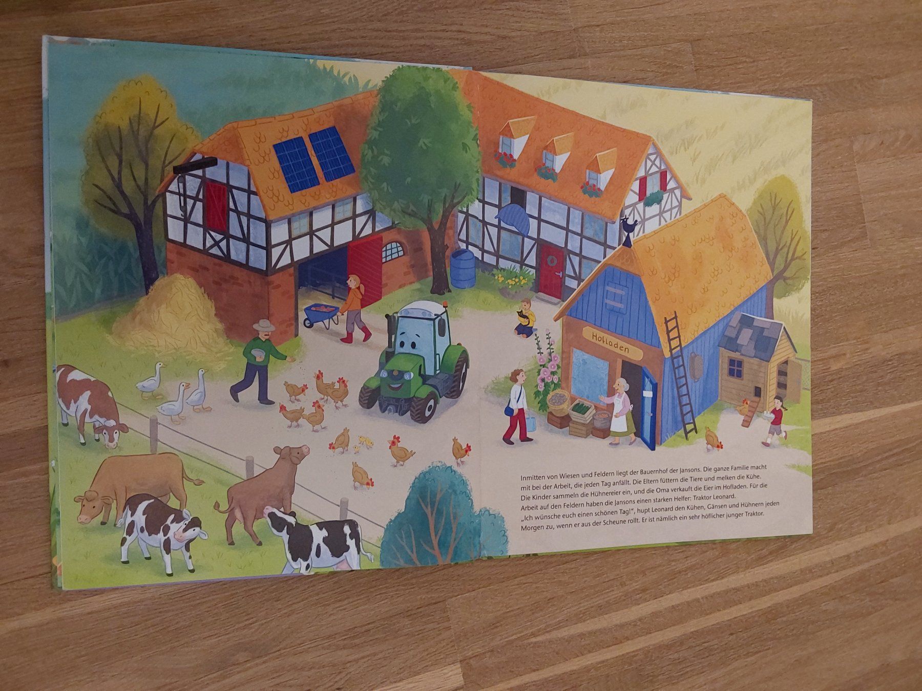 Bücher: Kinder Bücher – Gebraucht aus Wallisellen von Wallisellen77 2