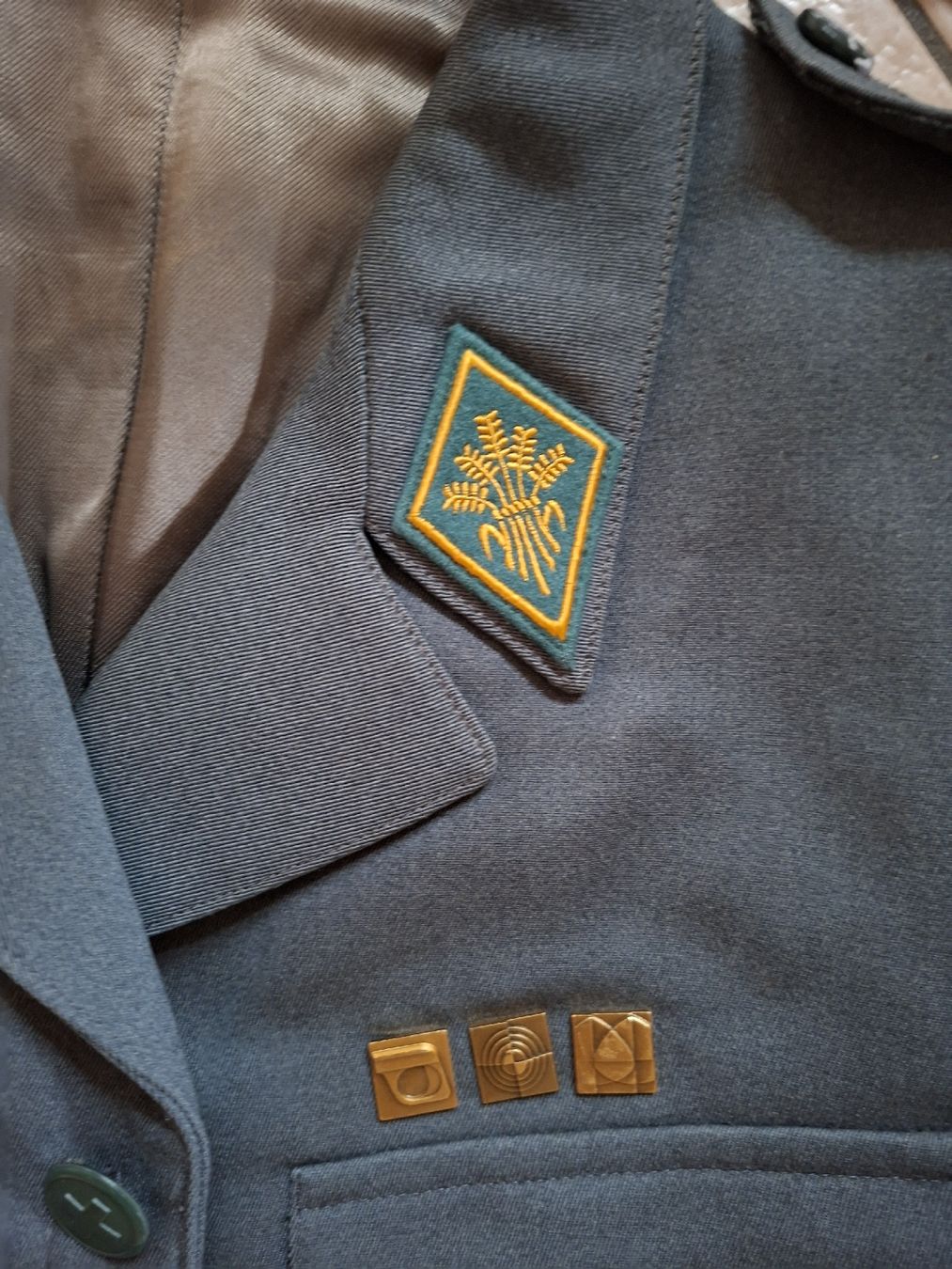 Schweizer Armee Uniformi: Schweizer Armee Militär Uniform mit Mutz  – Usato da Schwanden Sigrisw venduto da cadieux71 1