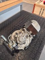 Piaggio Motor (Ciao, Si, Bravo, Boxer, Italo)