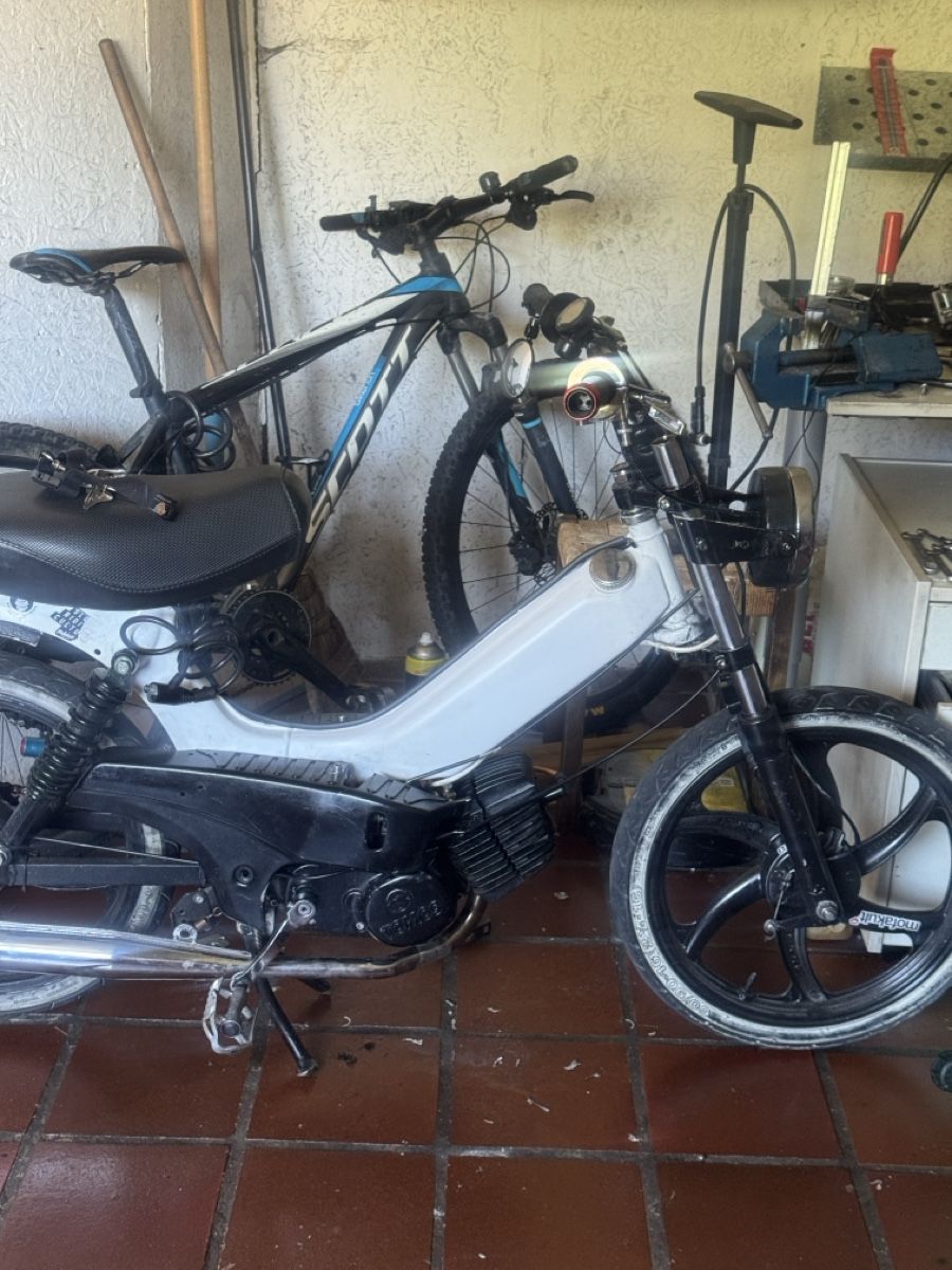 Tomos Cyclomoteurs: Mofa Tomos – D'occasion à Tenniken par nan_6w7n