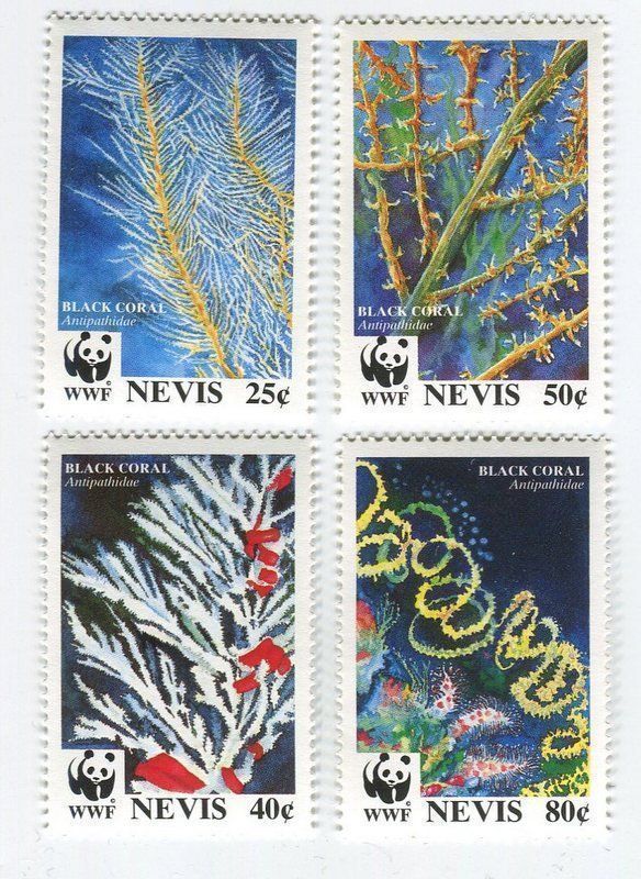 Tous les timbres: Briefmarken "Korallen". Nevis – Neuf avec emballage d'origine à Basel par Butsch5