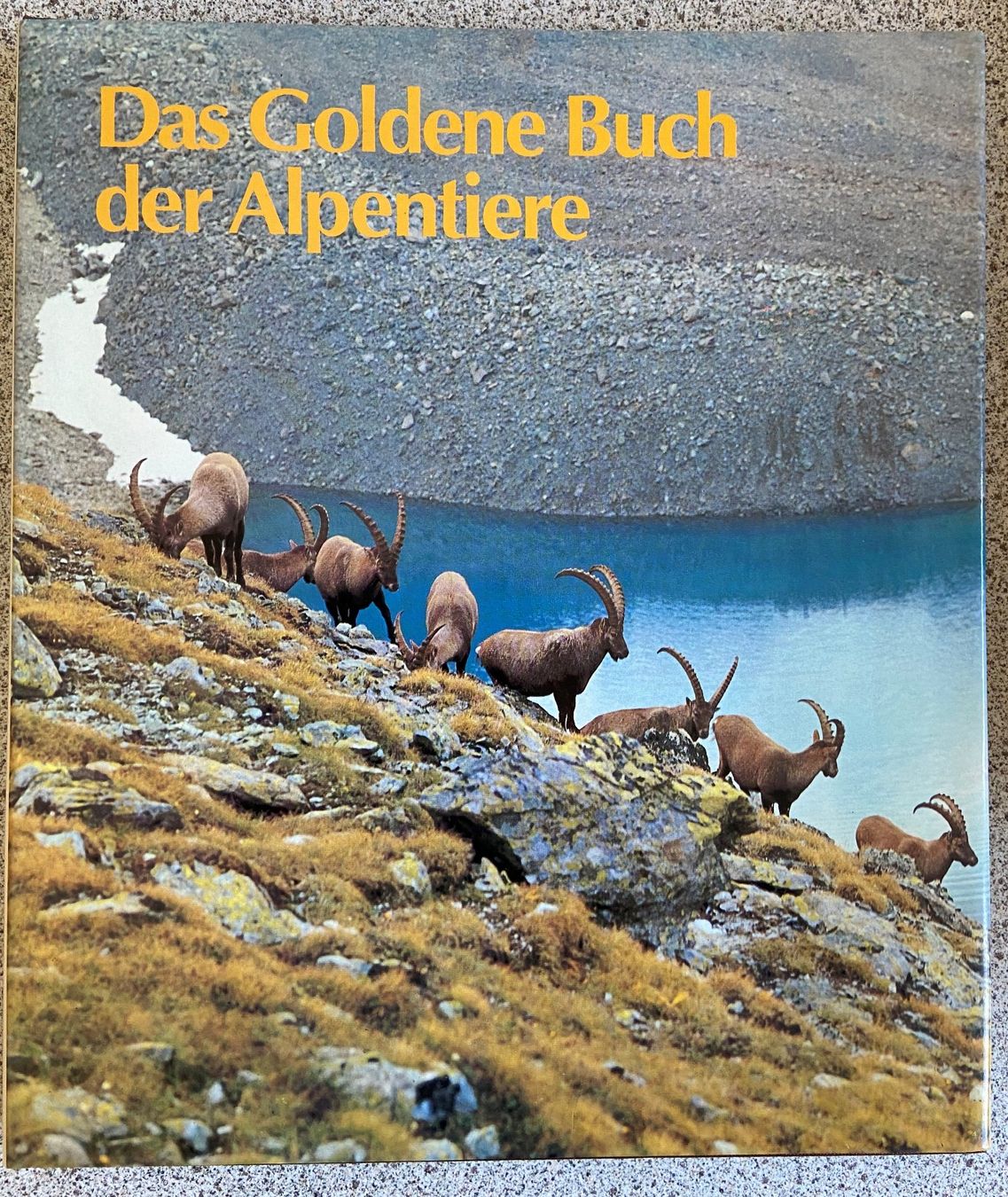 Libri: Buch Paket Tiere – Usato da Böckten venduto da Hansi36 4
