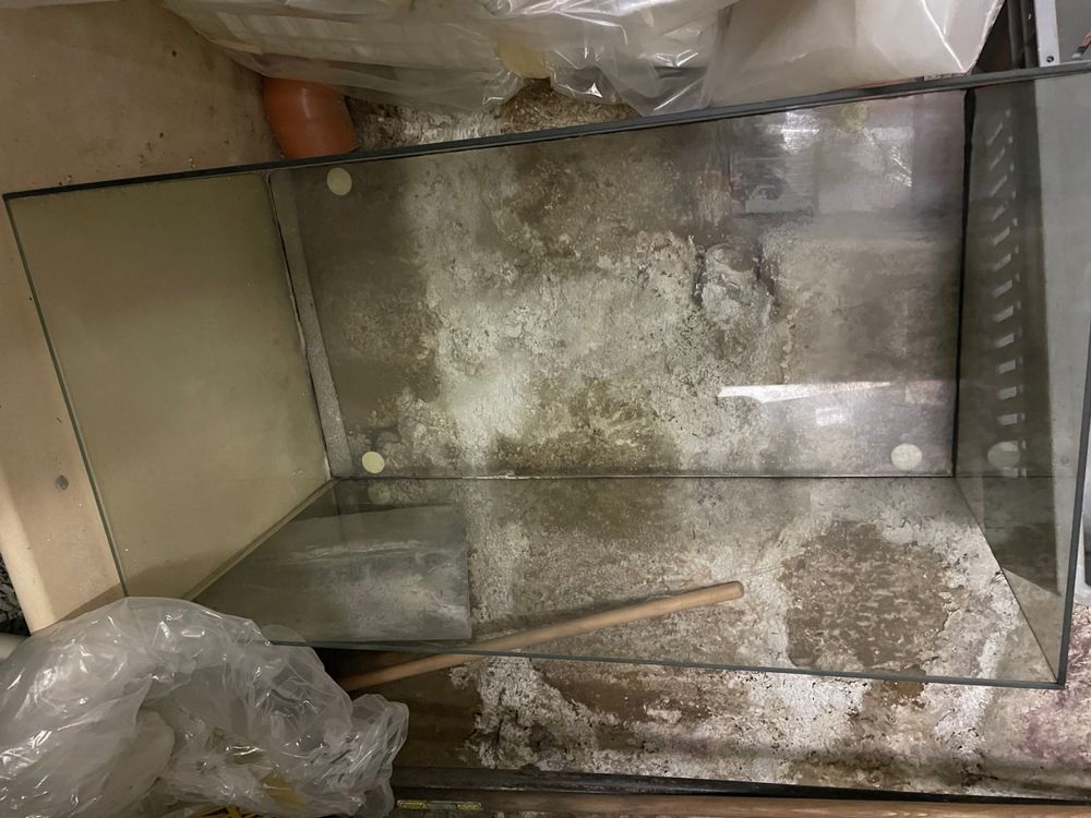 INNA-Glas Terrarium In Apfelform - Klares Deko-Glas 26 Cm Für Pflanzen & Deko