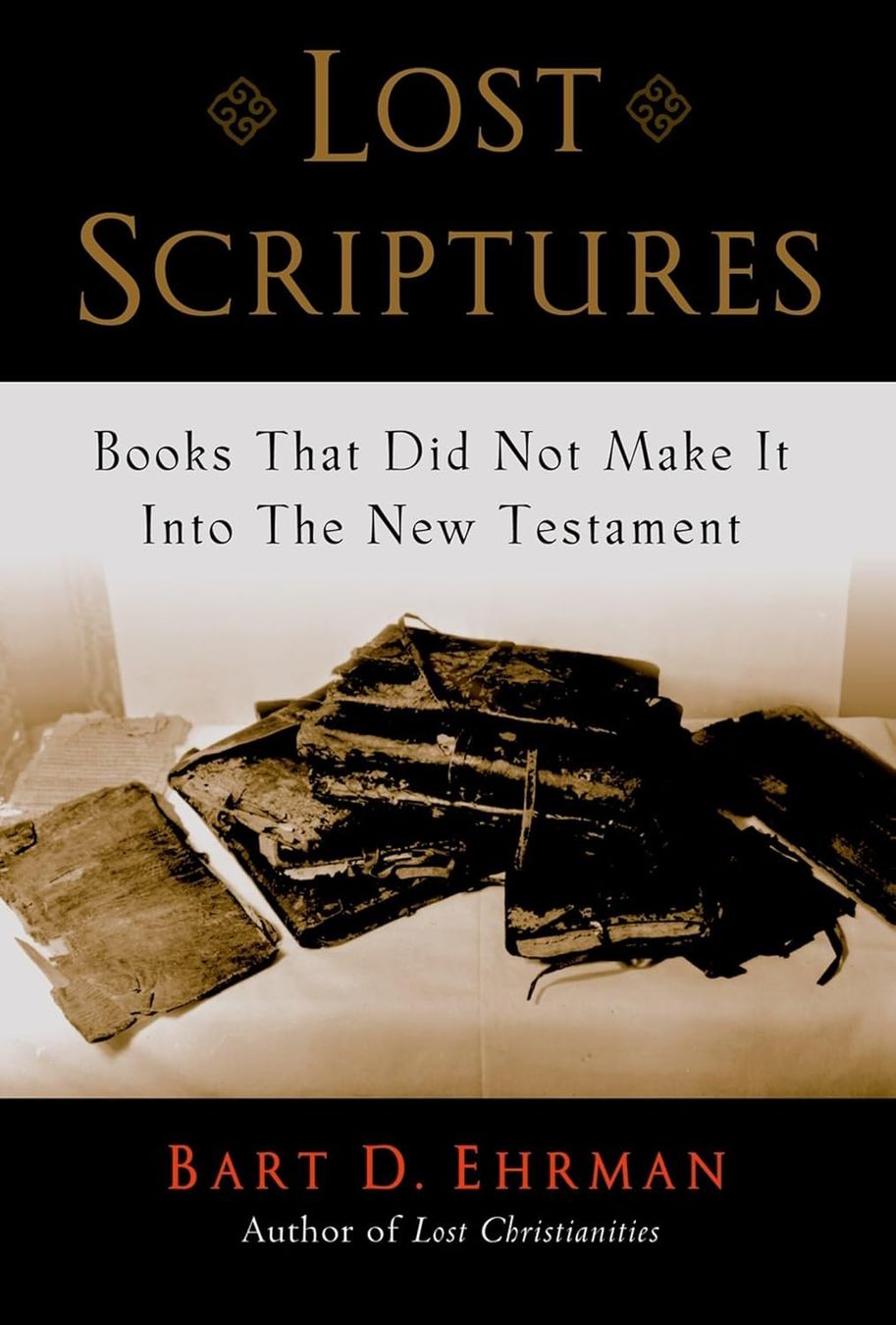Libri: Lost Scriptures – Usato da Neuchâtel venduto da Dualseele