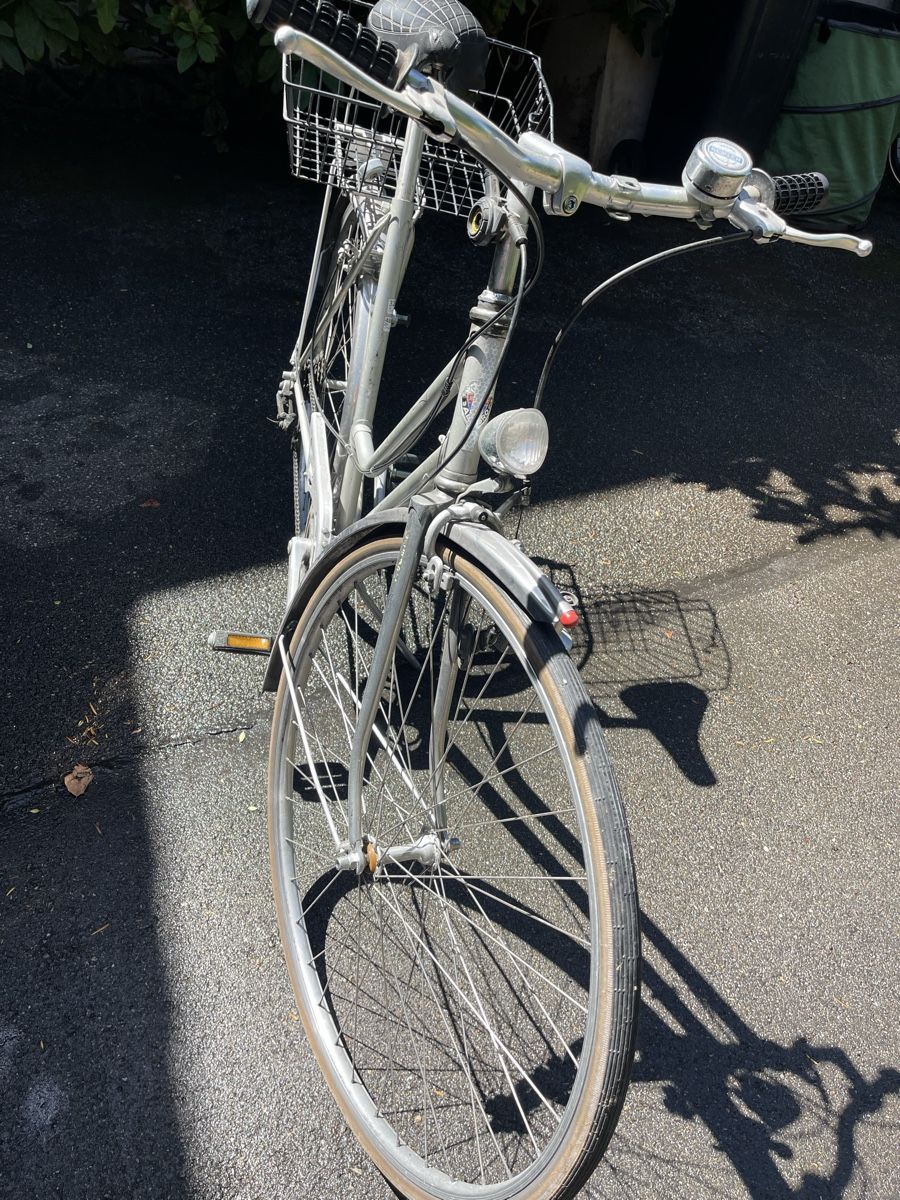 Biciclette: Damenvelo Historisch Allegro – Usato da Erlenbach ZH venduto da Roudae 4
