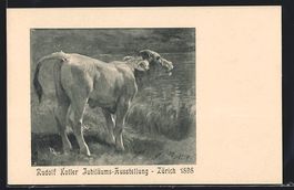 Zürich, Rudolf Koller Jubiläums-Ausste