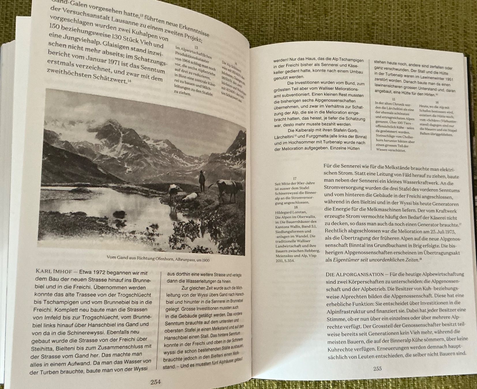 Bücher: Das Binntal - Exkursionen durch die Zeit - G. Koller – Gebraucht aus Crans-Montana von plainemorte 6