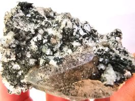 Hematite in Rose Form / Smoky Quartz on Matrix, La Fibbia
