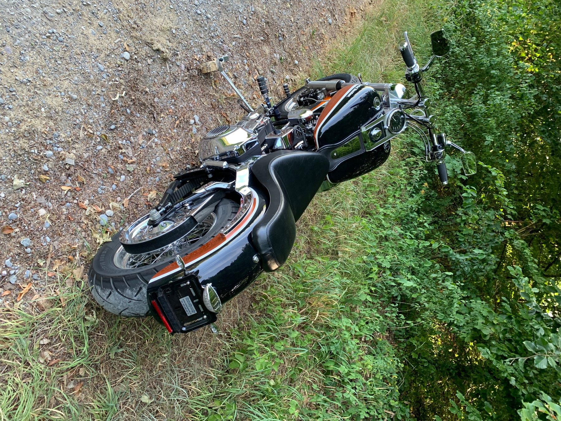 Harley-Davidson Chopper: Harley Softail Custom – Usato da obfelden venduto da kaktus1331 7