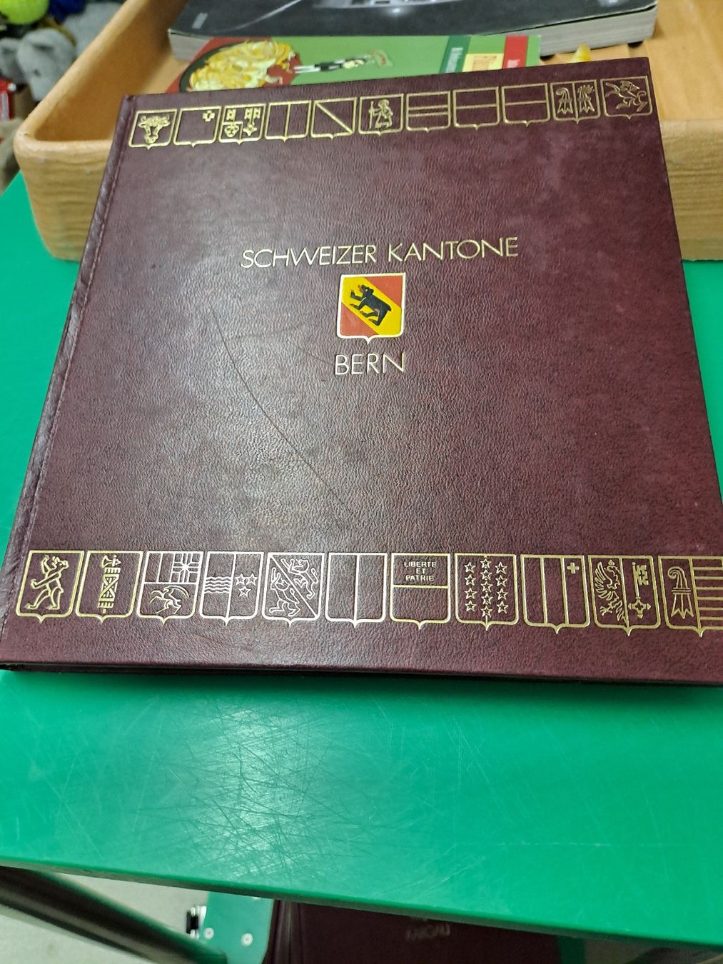 Libri: Schweizer Kantone - Bern - Buch - Top Zustand! – Usato da Zürich venduto da Schoebi19 1