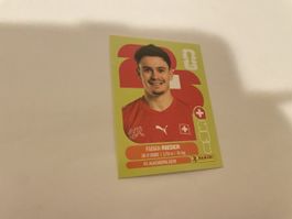 FIFA WM Fabian Rieder SUI 12