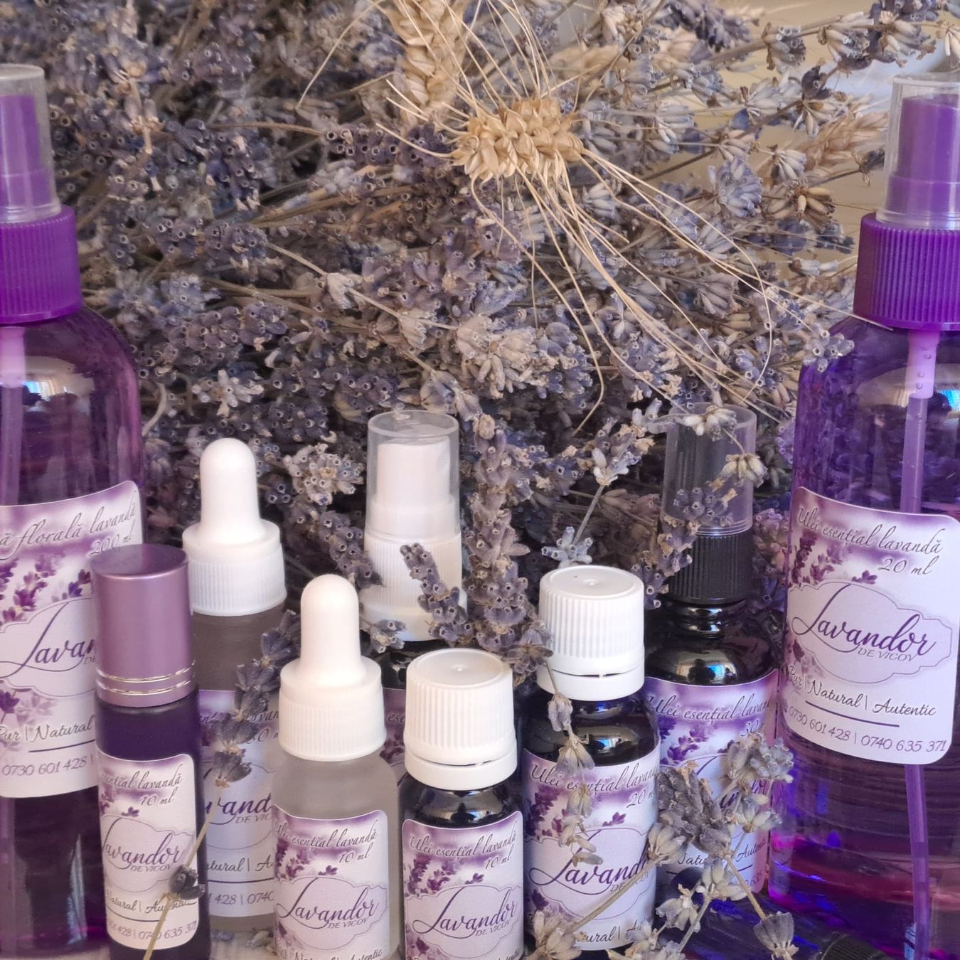 Ätherische Öle: Natürliches Lavendelöl 30ML – Neu (gemäss Beschreibung) aus Kreuzlingen von AlinB
