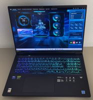 Acer Predator Helios Neo 18 AI (RTX 5070ti, Core Ultra 9)