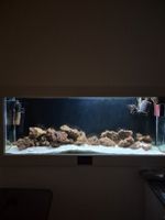 Vente aquarium eau salée complet 400 l Genève