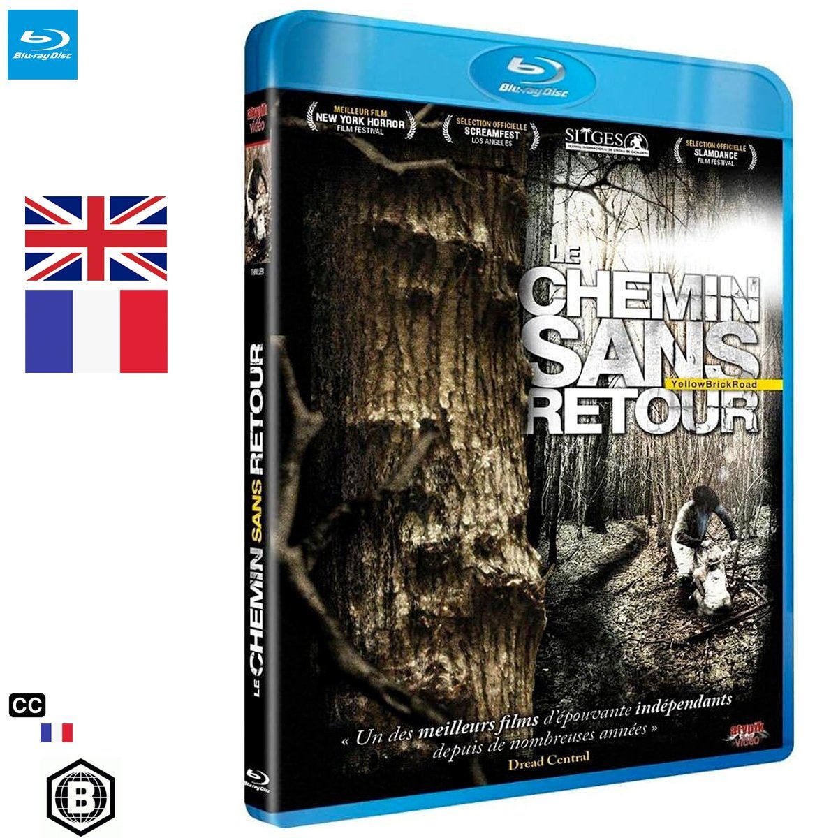 Tutti i DVDs: Le chemin sans retour (2010) - Blu-ray – Usato da Semsales venduto da __Florian__