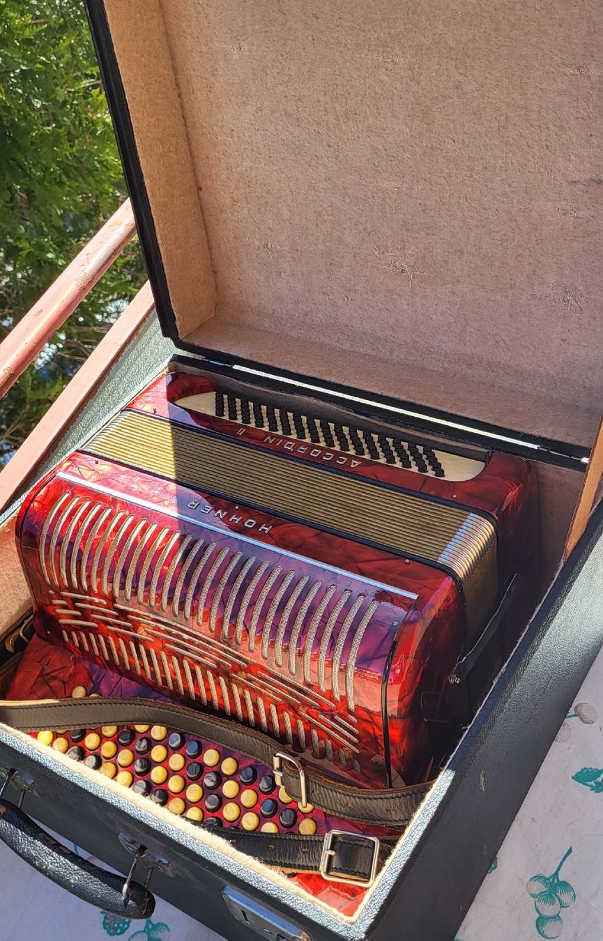 Hohner Strumenti musicali: accordéon hohner Accordina II – Usato da Penthalaz venduto da EvandroLuz 4
