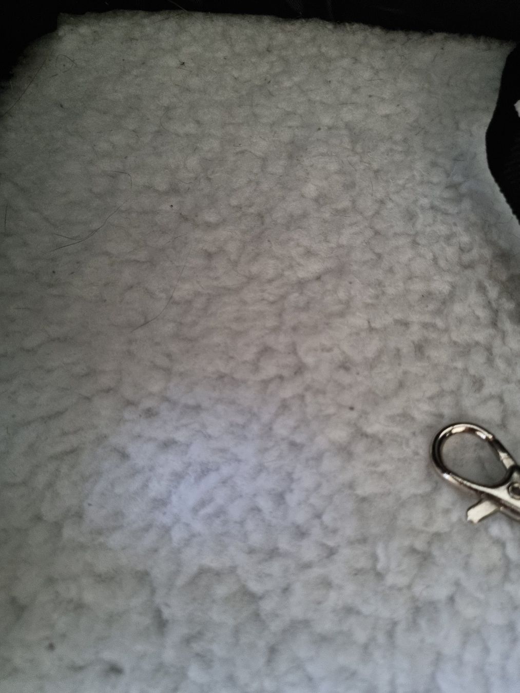 Cucce & Letti: Katzentransport Rucksack – Usato da Oberrieden venduto da Nat_ZH 4