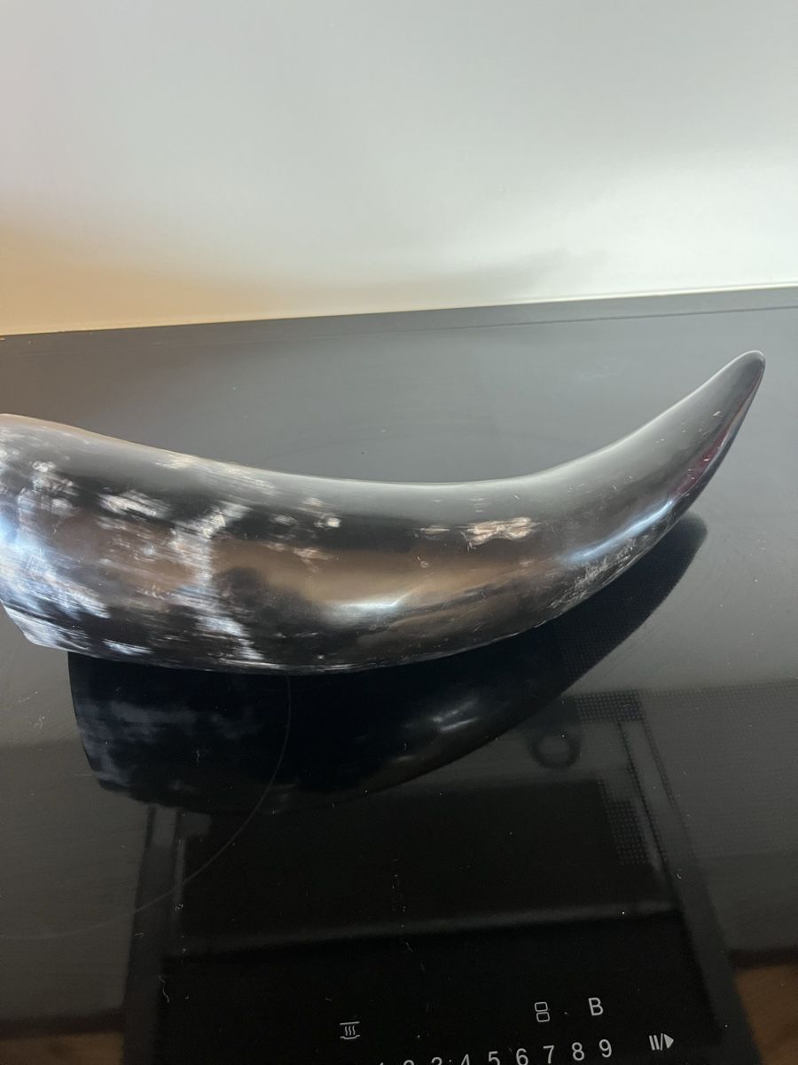 Tutte le decorazioni: Grosses Horn Deko 43cm – Nuovo (secondo la descrizione) da Saanen venduto da SoniaMichaela