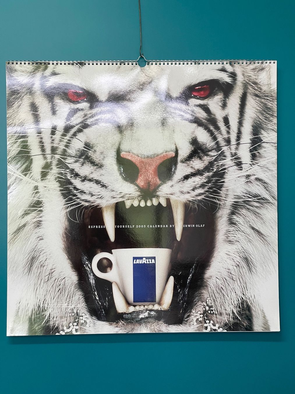 Calendari: Lavazza Kalender 2005 – Nuovo (secondo la descrizione) da Fehraltorf venduto da JLK-Jiri