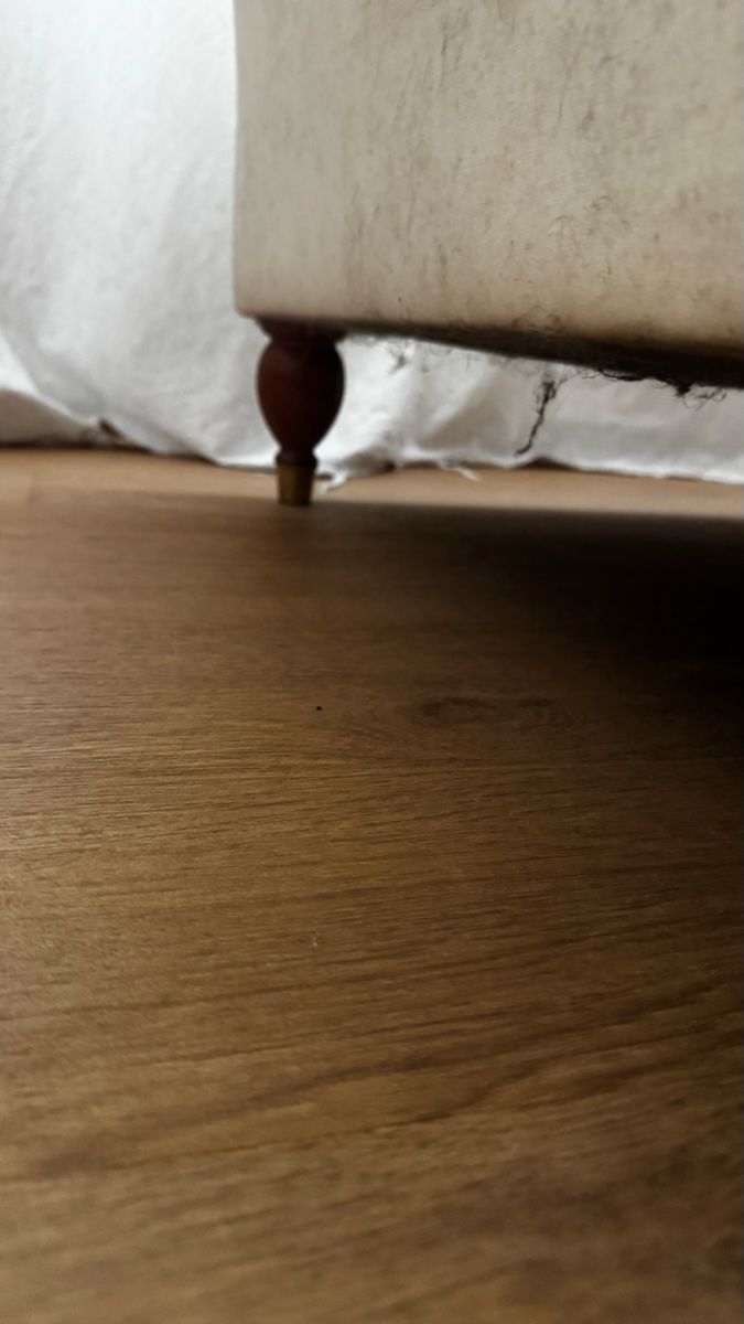 Divani: Sofa zu verschenken 🔔Letzte Chance – Usato da St. Niklausen LU venduto da Ispaar 2