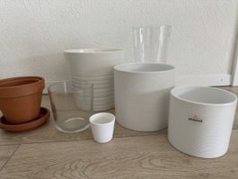 Lot de caches-pots et vases 🪴
