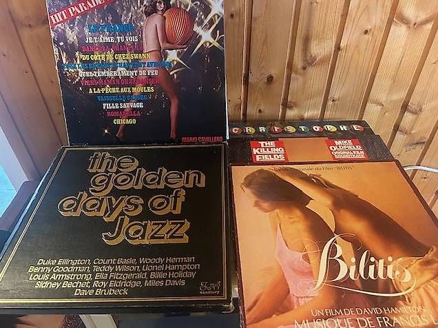 Dischi in vinile: Disques 33 tours  – Usato da Chézard-St-Martin venduto da Famille.Richard 2