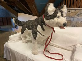 Plüschtier Hund Grosser Husky 100cm, Plüschhund zum Kuscheln