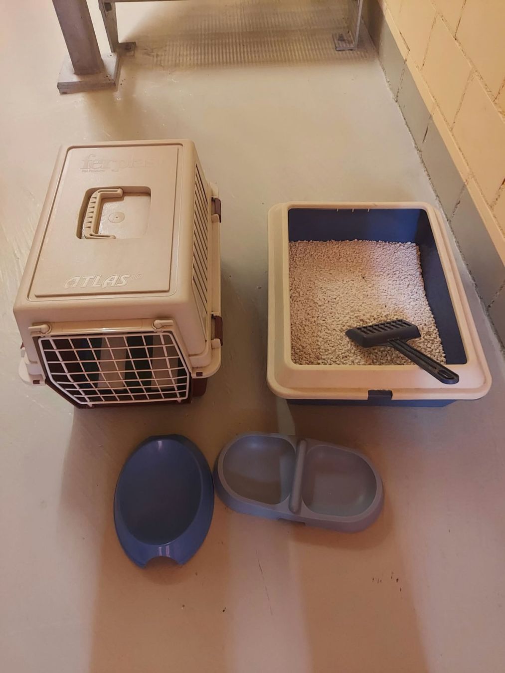 Liege- & Schlafplätze: Katzenzubehör – Gebraucht aus Elgg von Schnuuz1