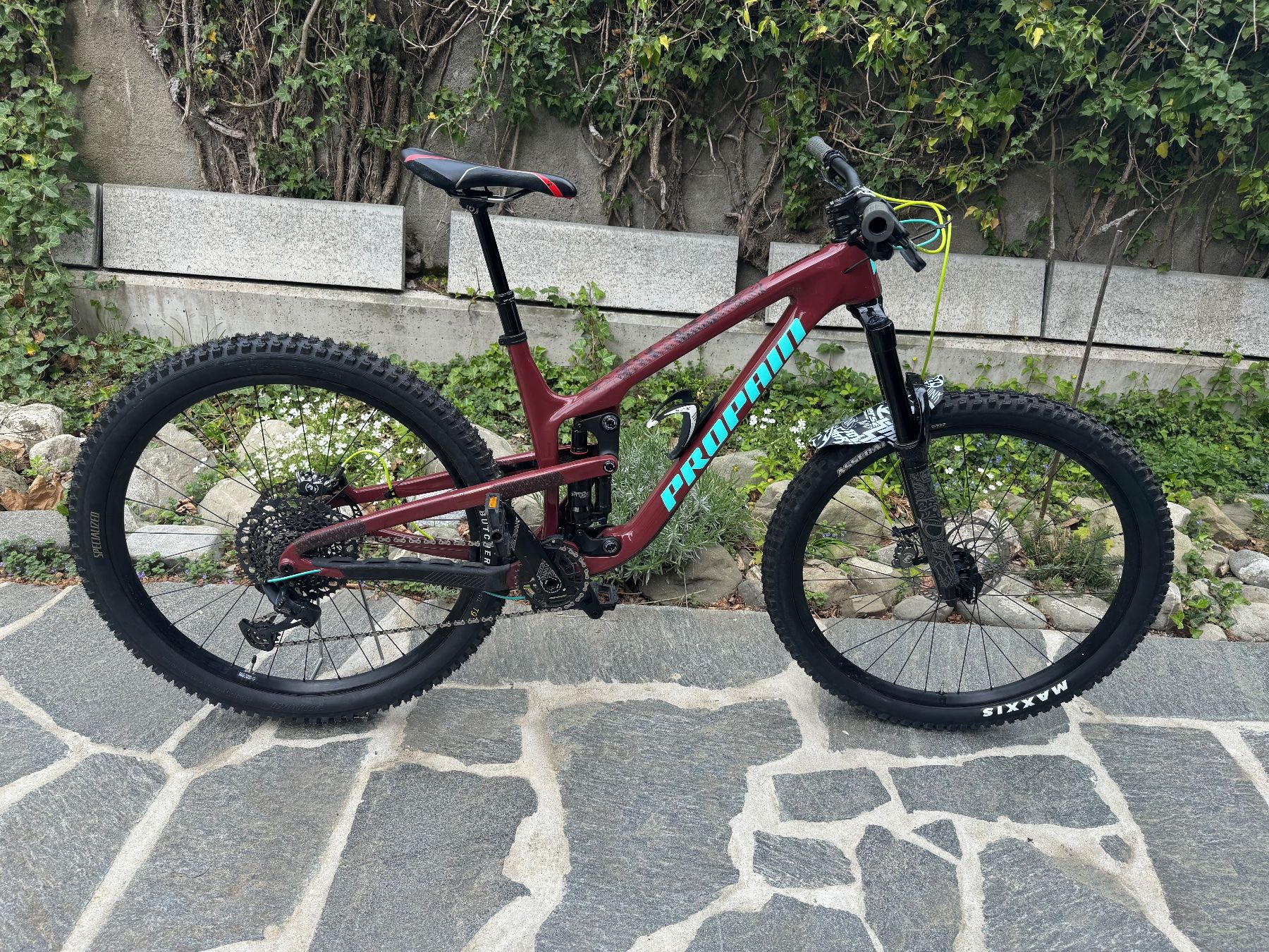 Propain Velos: Propain tyee 29" CF – Gebraucht aus Altdorf UR von Gleisel 3