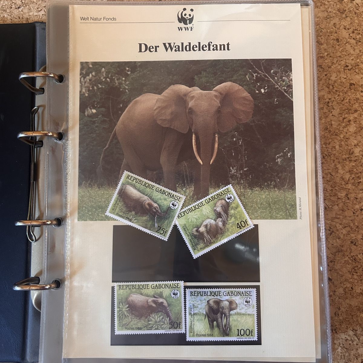WWF Album: WWF Briefmarkenalbum – Usato da Laufen venduto da belleskulptur 1