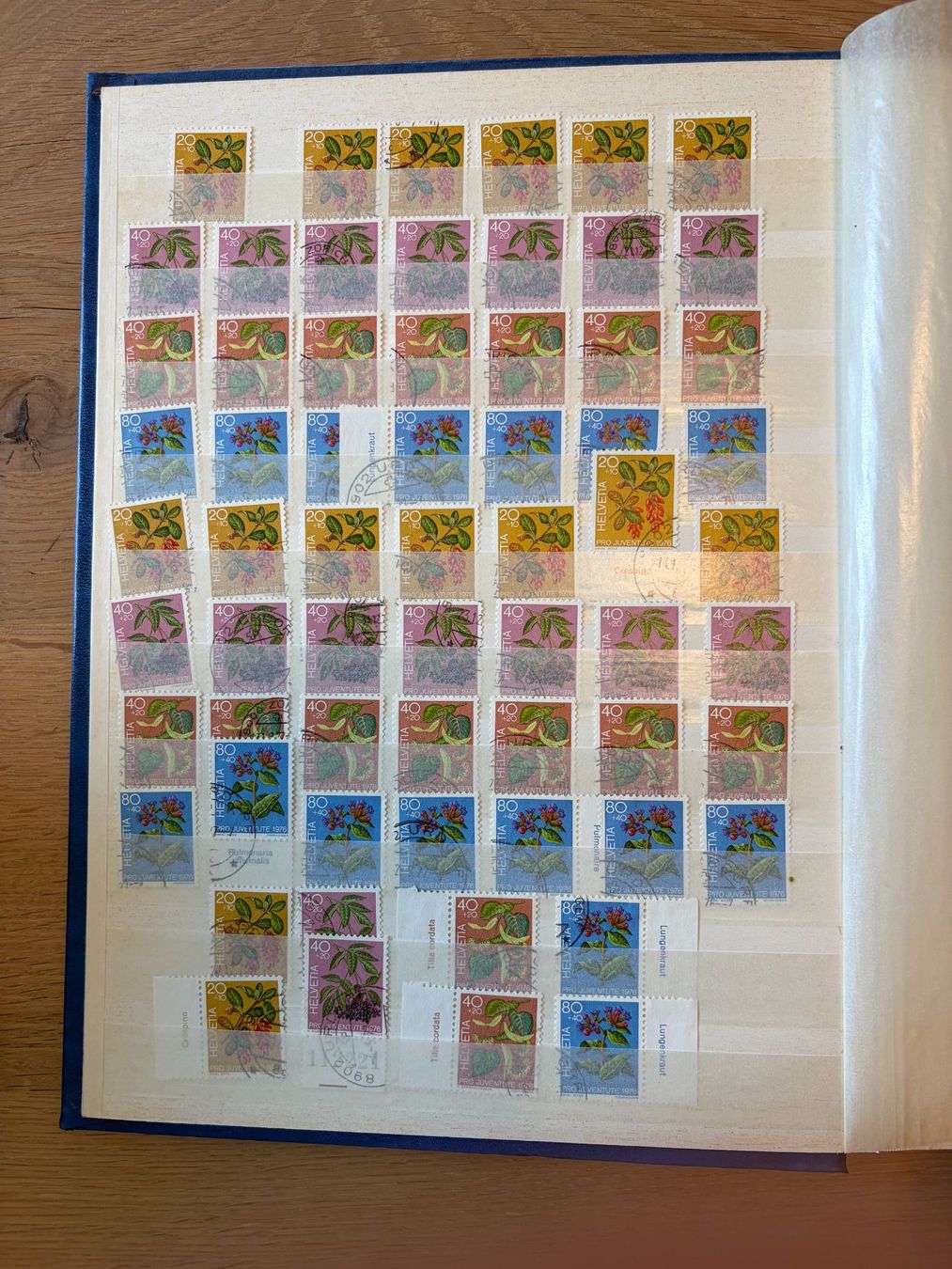 Tutti i francobolli: Grosse Sammlung Schweiz Briefmarken - Alben, Ersttagsbriefe – Usato da Zürich venduto da zamiduri 4