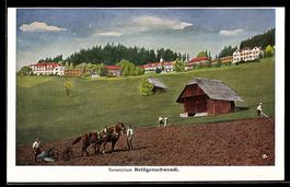AK Heiligenschwendi, Sanatorium Heiligenschwendi, Pflügender