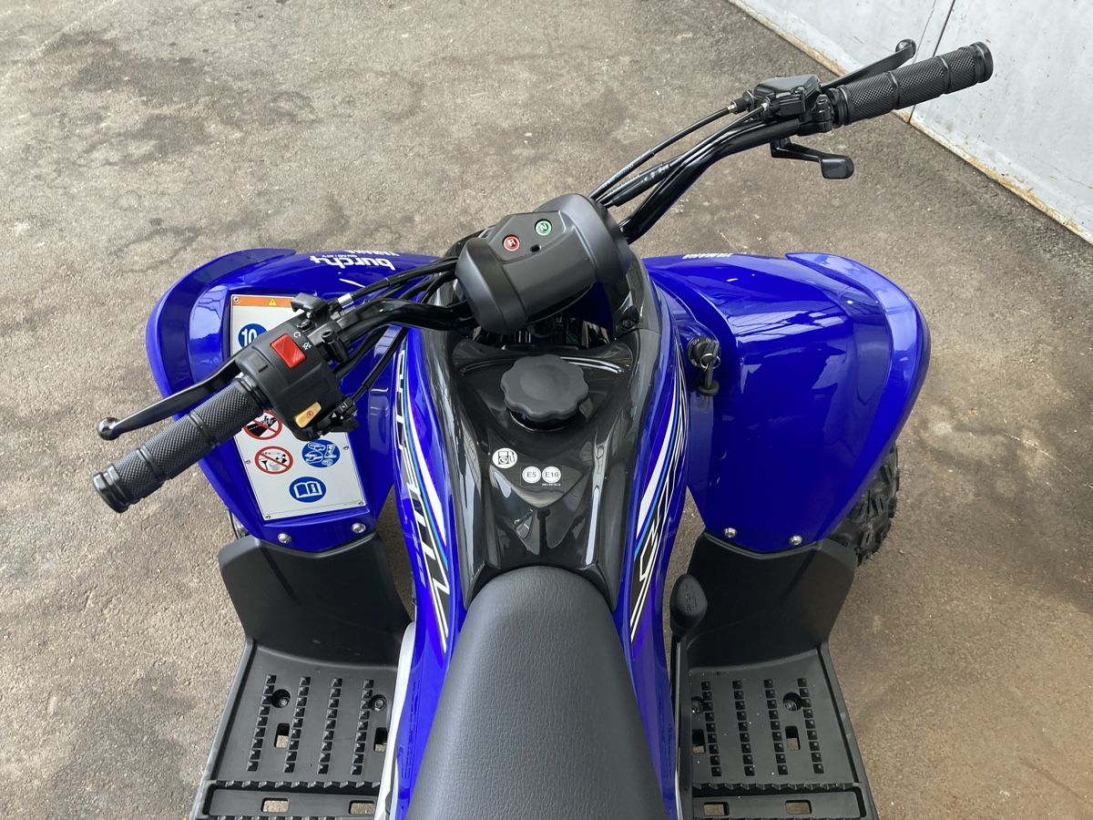 Veicoli per bambini: Yamaha YFM 90 R Kinderquad – Nuovo (secondo la descrizione) da Giswil venduto da burchquad01 4