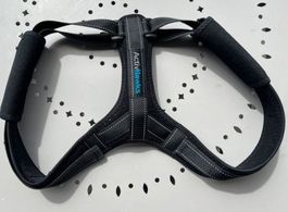 ActivHawks Correcteur De Posture Dos Épaules Avachies.