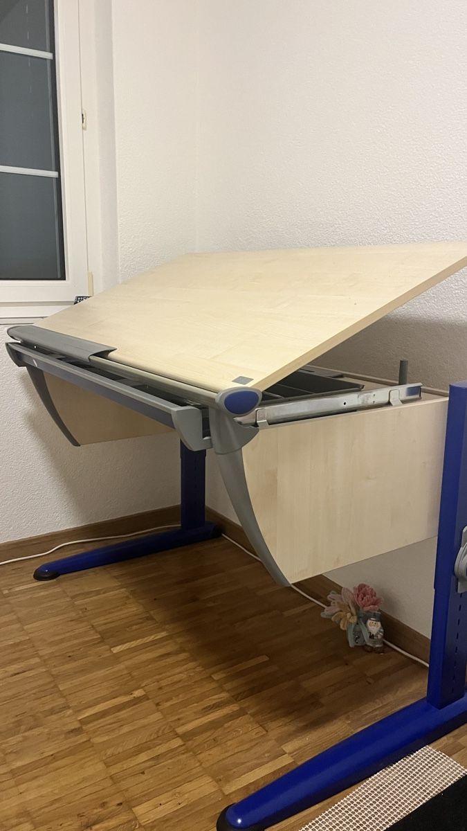 Moll Scrivanie:     Moll-Schreibtisch, gut erhalten – Usato da Hagenbuch ZH venduto da xiaoniu 1