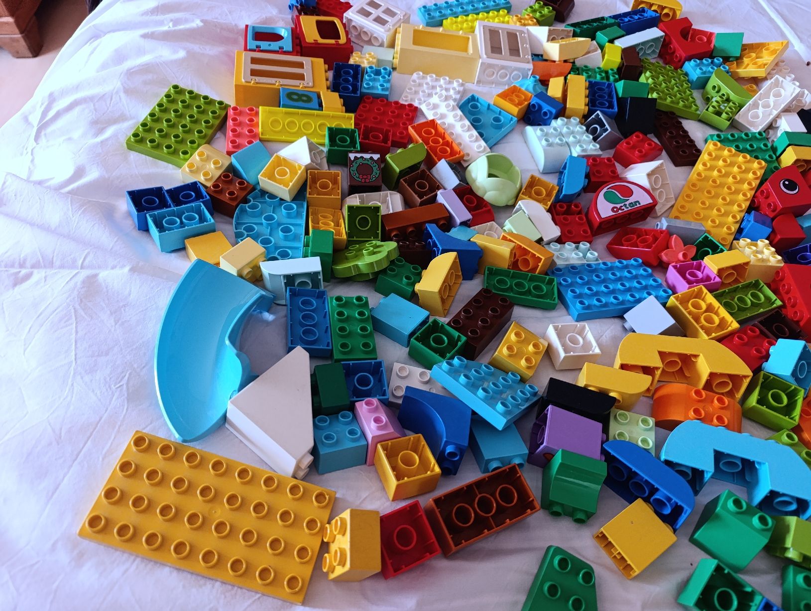 Lego Spielzeuge: 200 Lego Duplo Bausteine – Gebraucht aus Oberarth von sil_9dfs 5