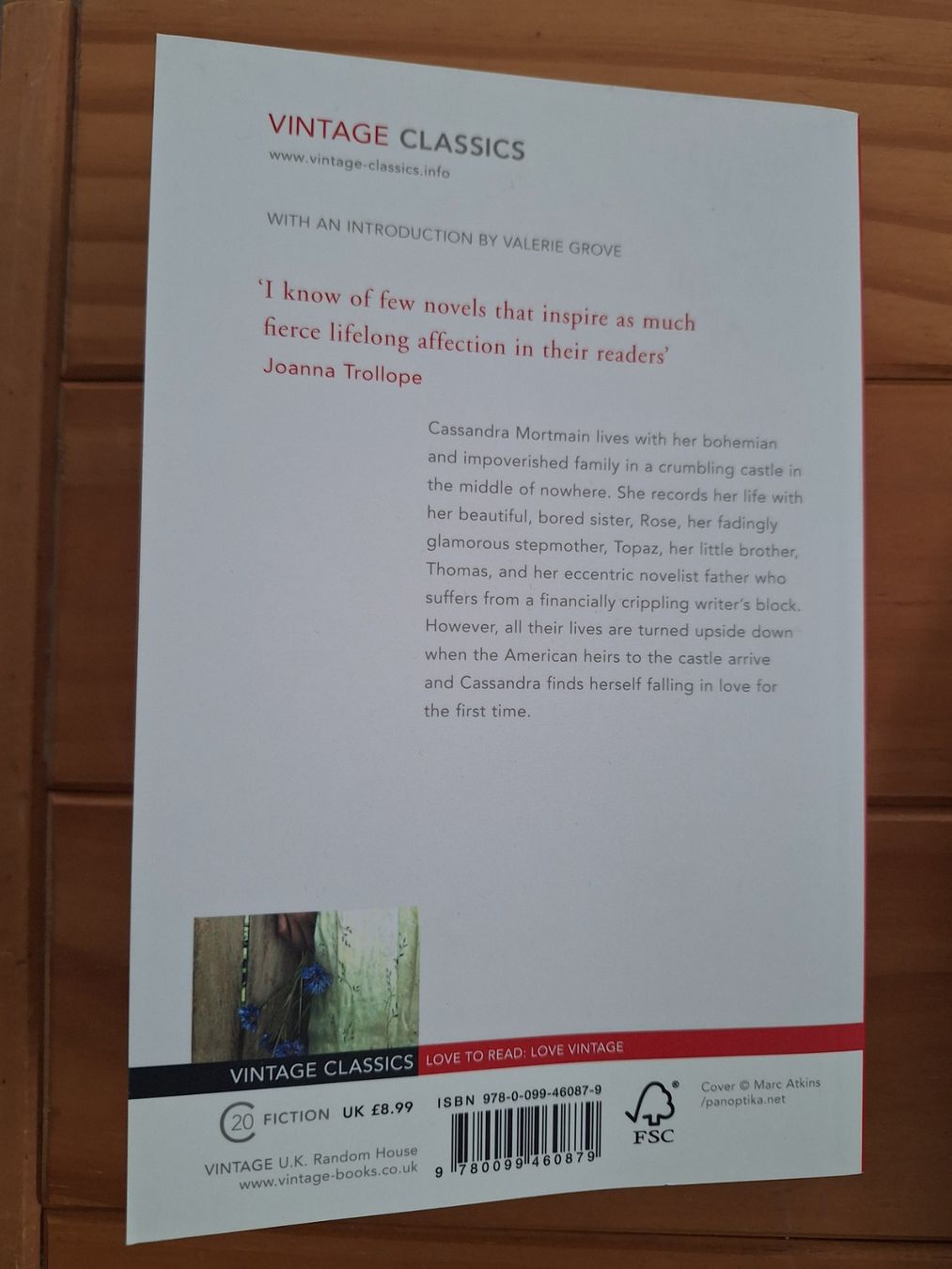 Bücher: I Capture the Castle (Dodie Smith) – Gebraucht aus Düdingen von Miwoo 1