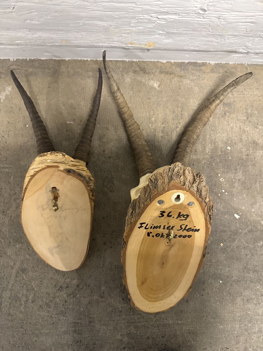 Altre raccolte & rarità: Steinbock/geiss  – Usato da Strengelbach venduto da HeidiHeidi09 3
