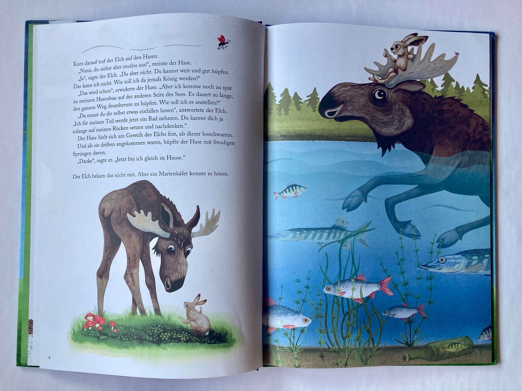 Livres: Bilderbuch: König Elch – Neuf (Voir description) à Bubendorf par Alpenheidi 5