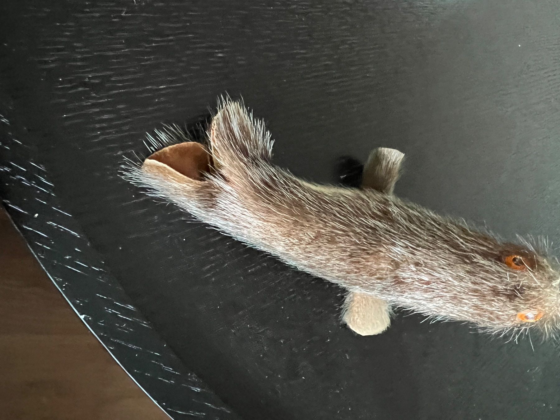 Figuren: Robbe Seehund  Fell – Gebraucht aus Jona von Sariksa 6