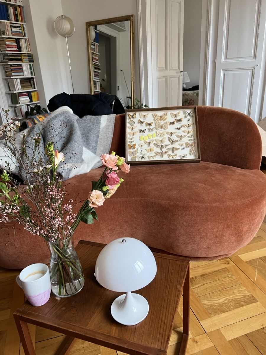 Divani: Sofa Rose Sofacompany rostbraun/terracotta Samt – Usato da Biel/Bienne venduto da leo_h2vb 4