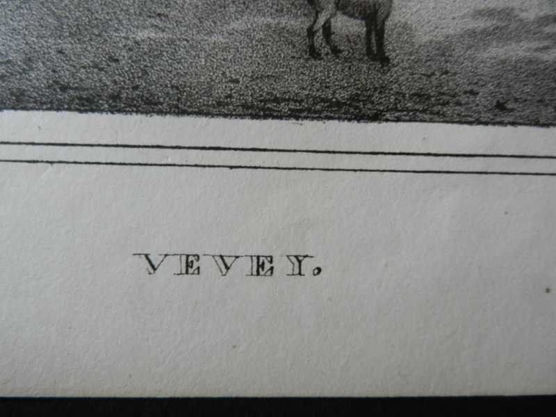 Stiche: Vevey Vivis – Gebraucht aus Risch von Rischli15 2