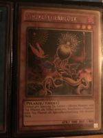 Yu-Gi-Oh! Einzelfeuerblüte Secret Rare NM
