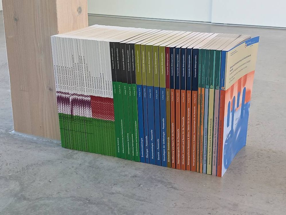 Compendio Bildungsmedien - Passerelle Lehrgang (Gebraucht) in ...