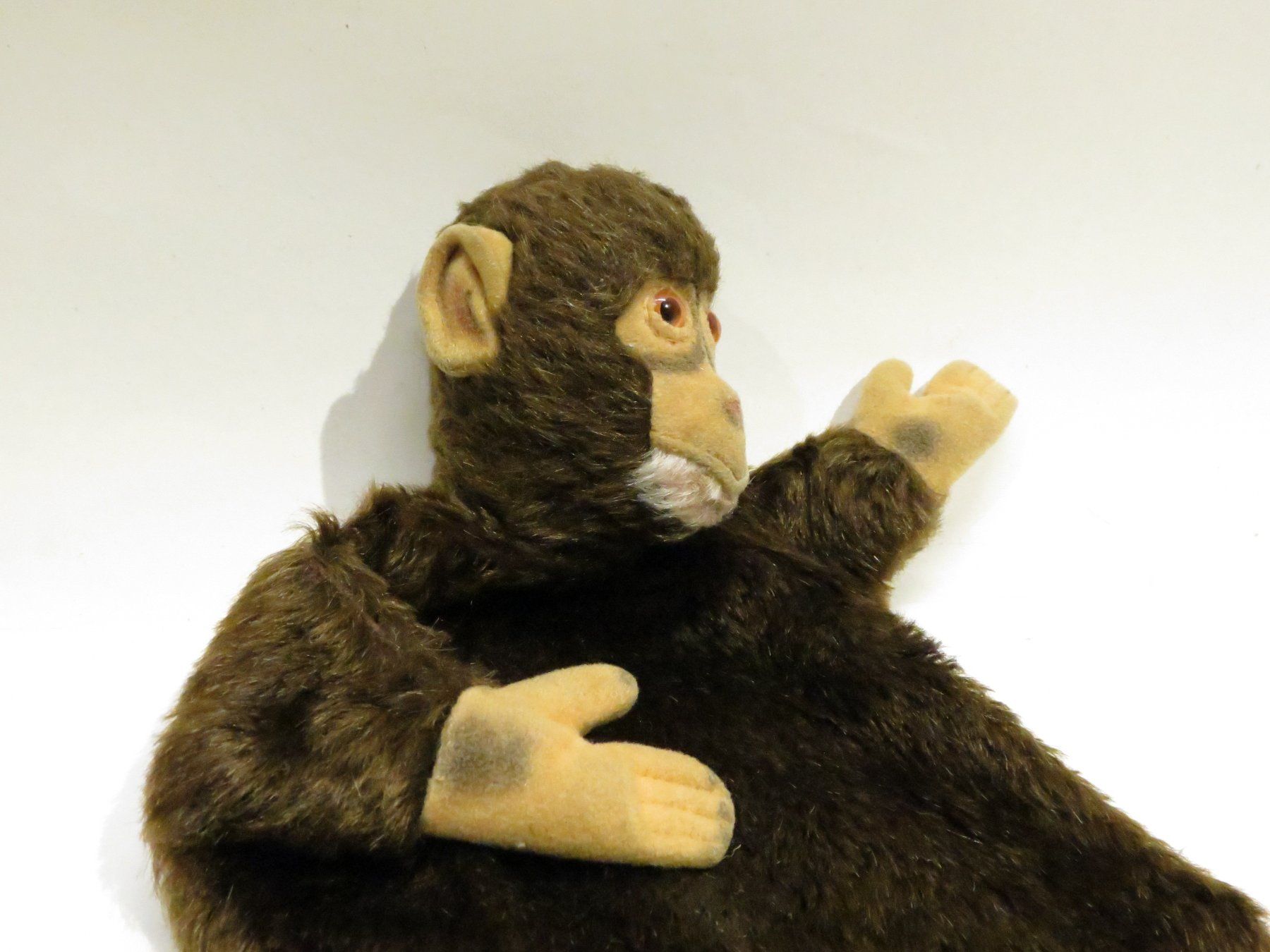 Steiff Jouets: Steiff- Affe Handpuppe JOCKO – D'occasion à Walenstadt par apropo 3