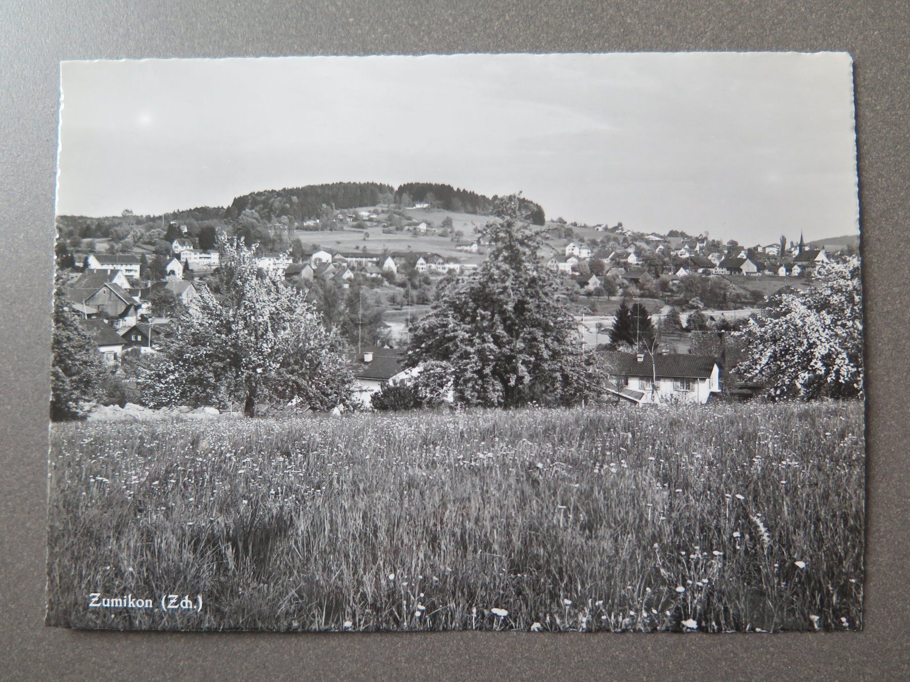 Cartoline postali: ZUMIKON (ZCH.) – Usato da Wittenbach venduto da lipasal