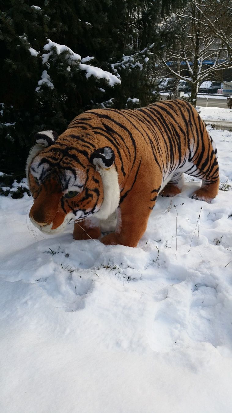 Spielzeuge: Steiff Studio-Tiger – Gebraucht aus Zwingen von moje1 8