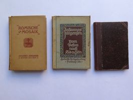 Johannes Jörgensen - 3 Bücher - 1898 - 1910